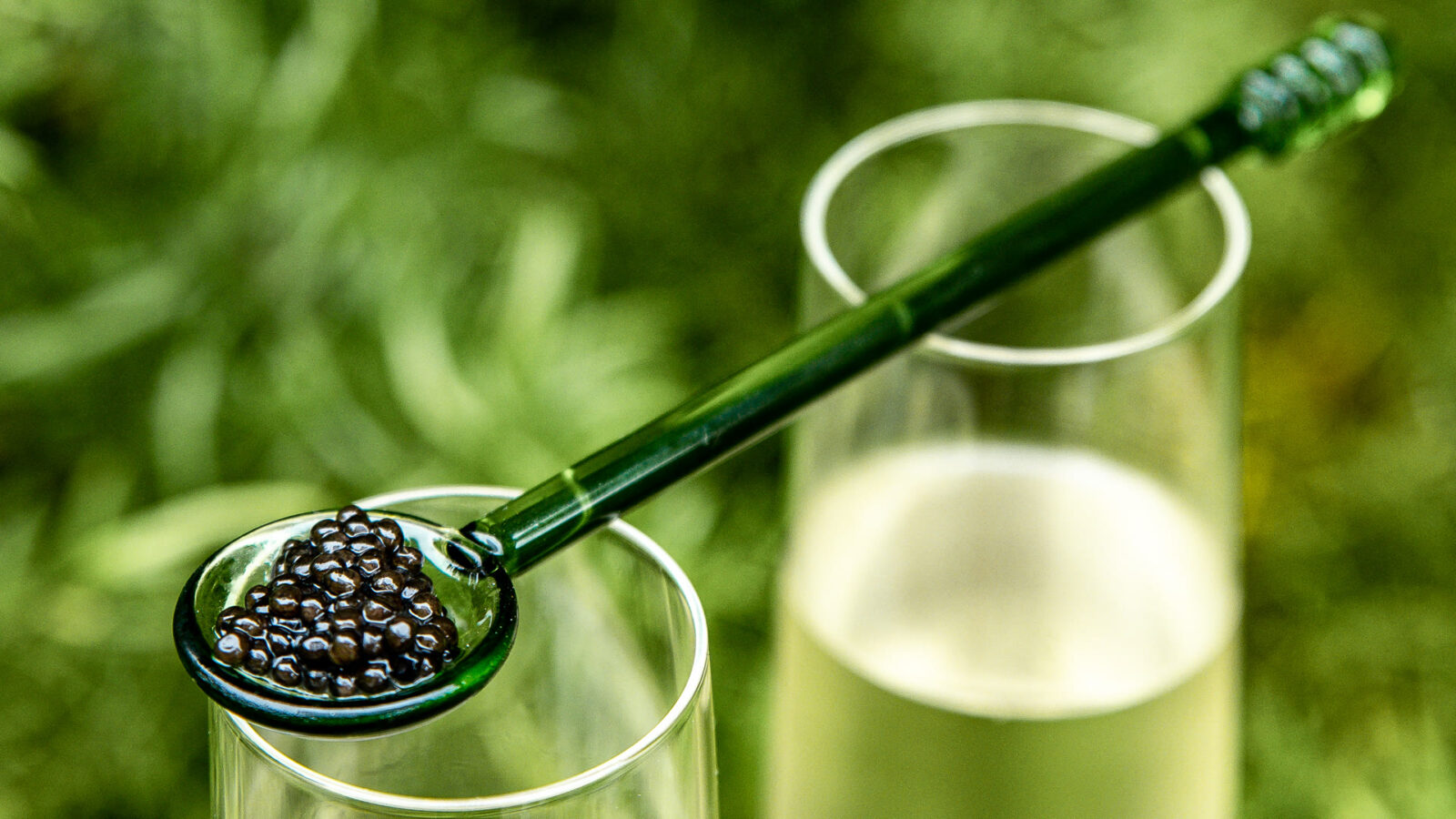 A glass spoon of caviar resting on a Champagne flute in a garden